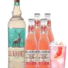 Cocktailpakket Pink Paloma