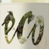 Eco Sauvignon Blanc Organic